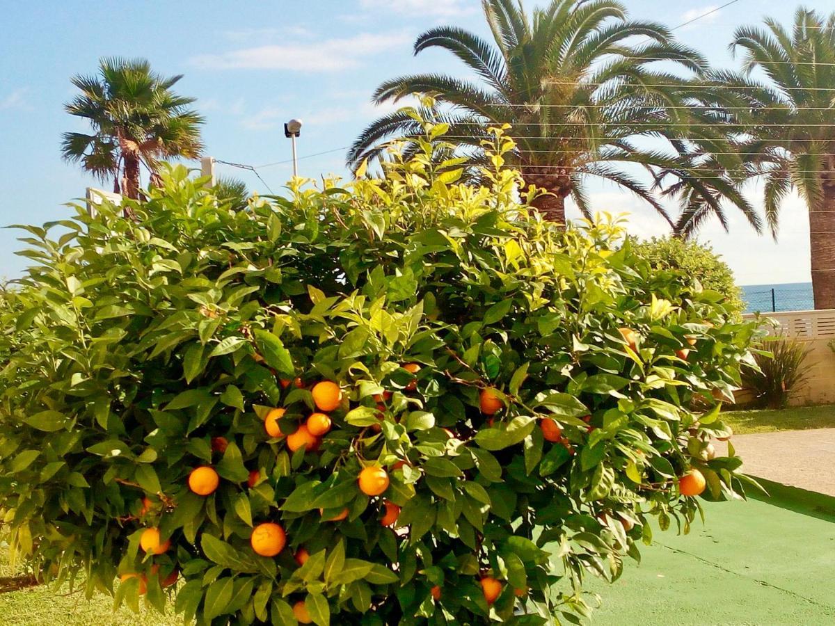 Voramar Lägenhet Calpe Exteriör bild